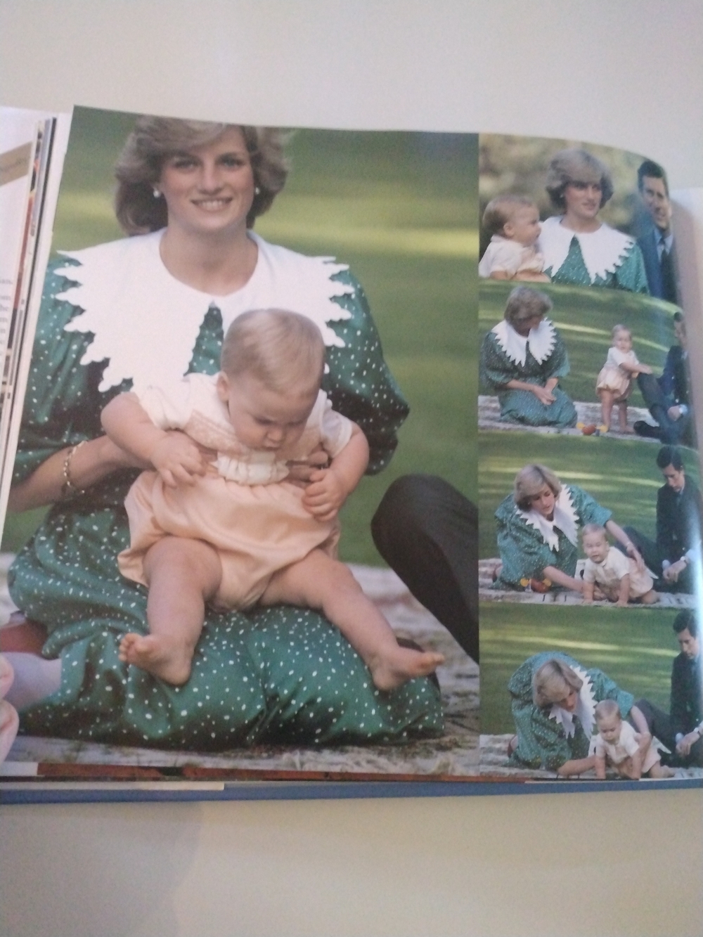 Diana Portrait of a Princess Hardcover Art Book - Purple & Blue Cover - Picture 8 of 15